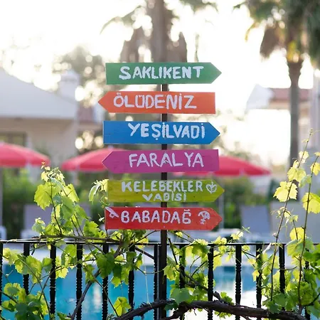 Paradise Apart